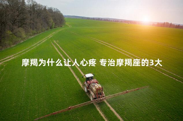 摩羯为什么让人心疼 专治摩羯座的3大星座